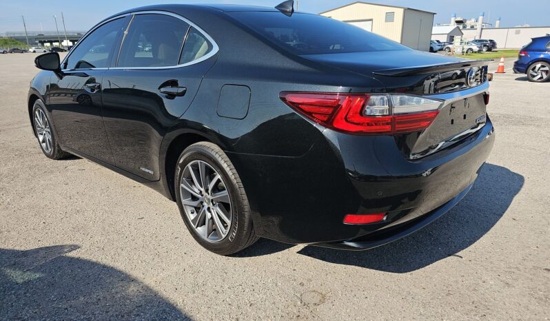 
								Lexus ES 300 H full									